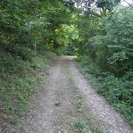 Apartment Heimbach Charlet Meisenheim