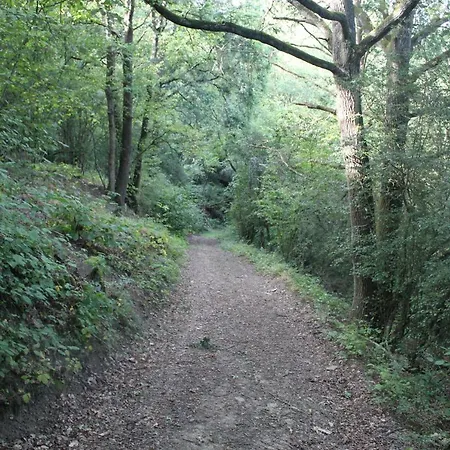 Apartamento Heimbach Charlet