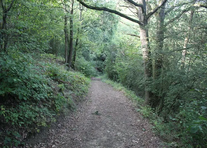 Apartamento Heimbach Charlet